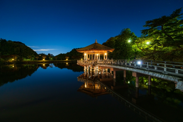 おすすめ観賞場所とアクセス