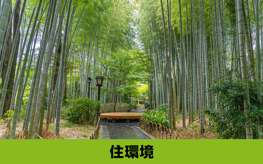 「住環境」から見る伊豆市に別荘を持つ魅力とは?