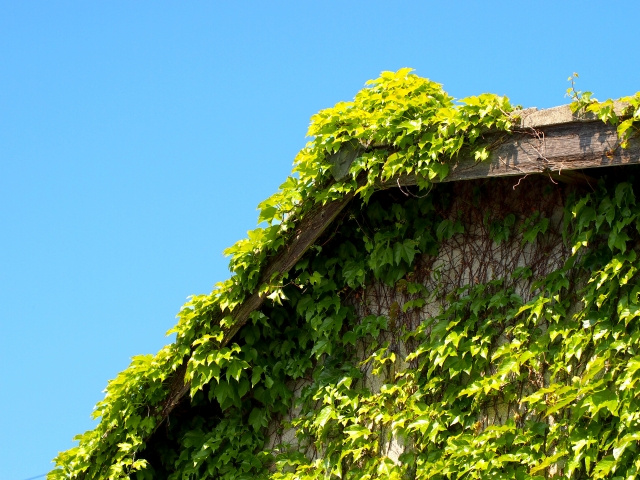 所有者不明土地建物管理制度について