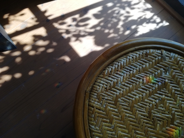 【体験談】奈良教育大学生インタビュー