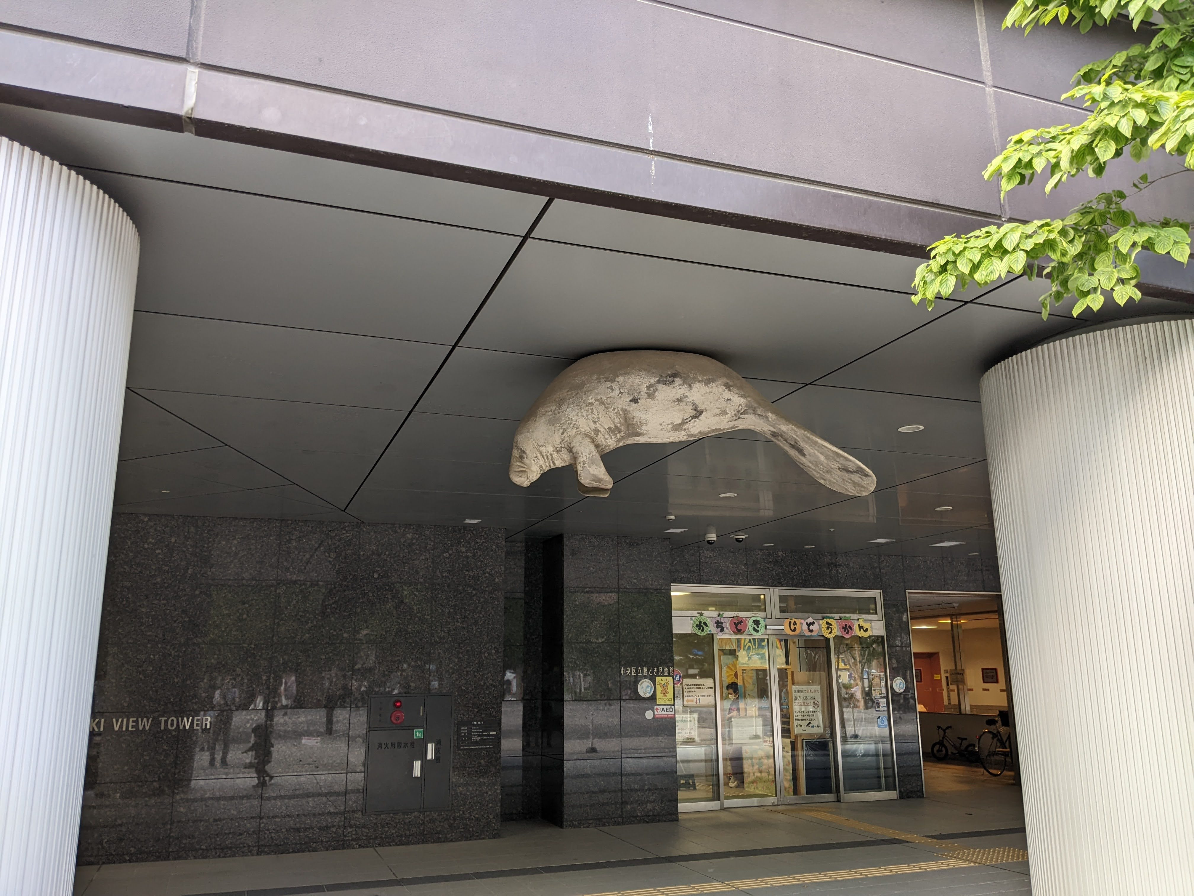 勝どきビュータワーのアザラシ