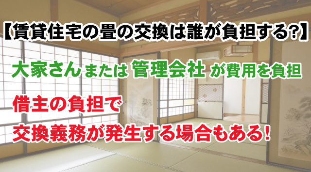 【賃貸住宅の畳の交換は誰が負担するの?】畳をキレイに保つ方法まで紹介