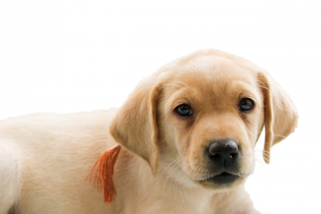 ベビーベッドを使ったほうがいい場合