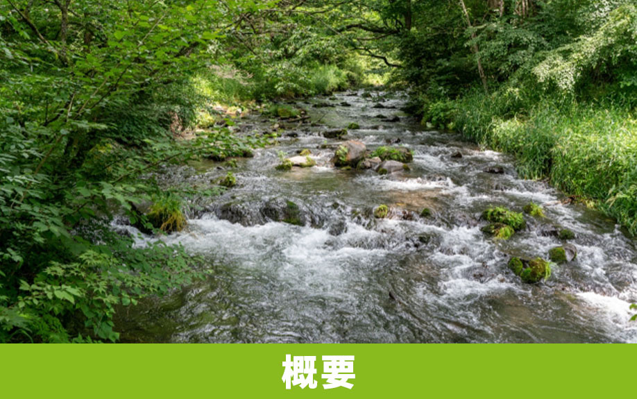 軽井沢町にある「軽井沢星野エリア」の概要