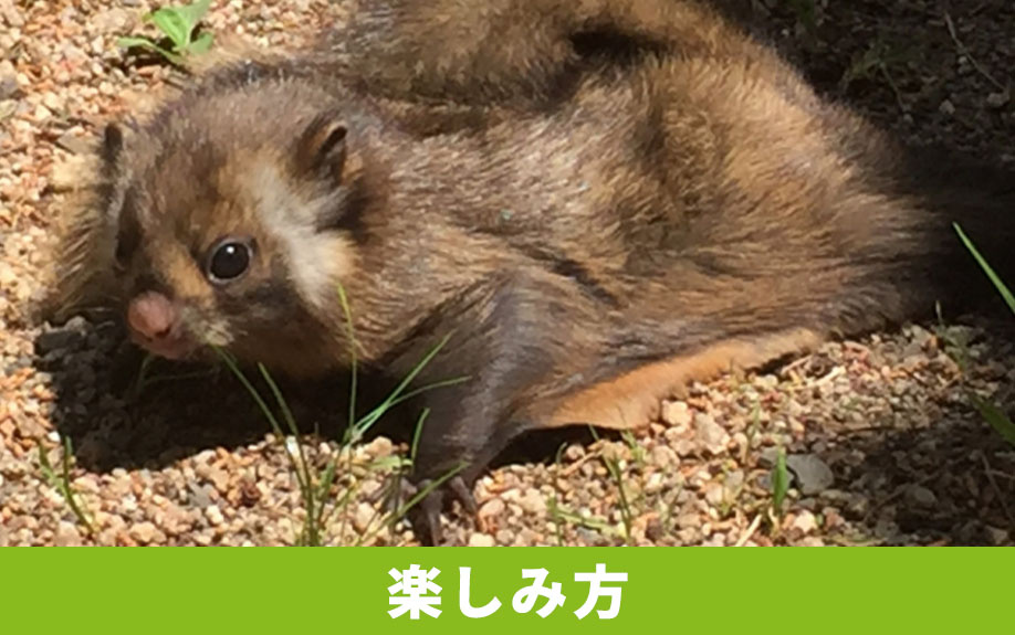 軽井沢町にある「軽井沢星野エリア」の楽しみ方