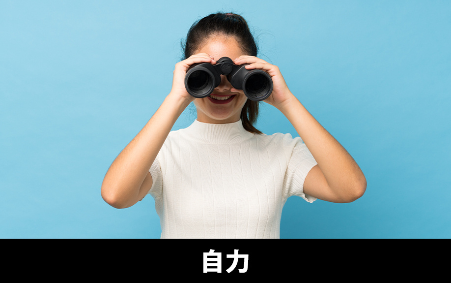 空き家を買いたい場合の見つけ方③自力で探す方法