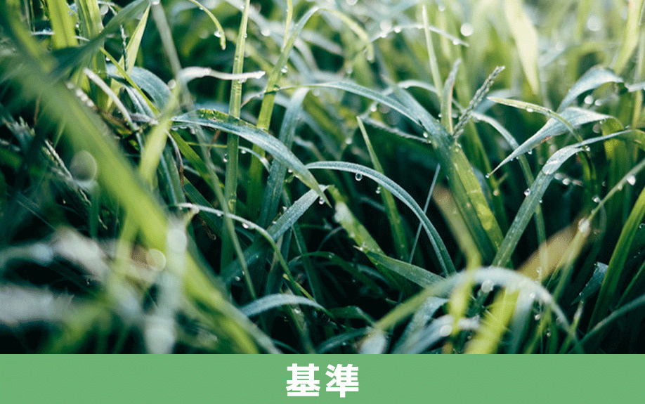 空き家対策特別措置法における特定空家の認定基準について