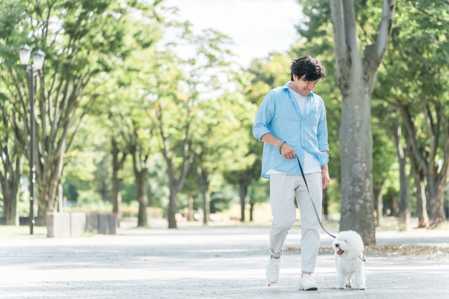 筒井駅周辺にはどれだけペットの飼育が可能な物件があるのか