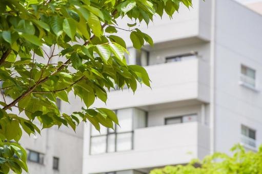 学生マンションはやめとけといわれる理由!学生マンションのメリットも解説