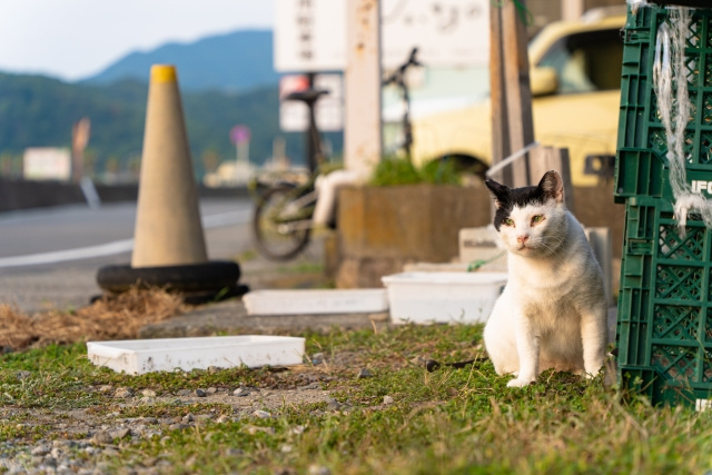 千旦駅の住みやすさや住環境