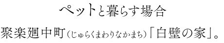 ペットと暮らす、白壁の家