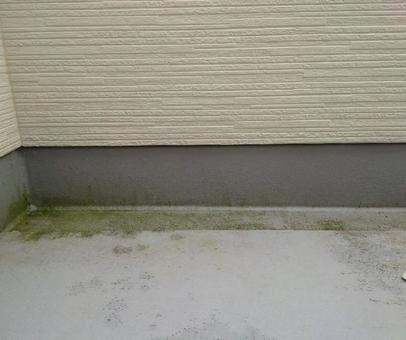 ベランダに生えた苔をきれいに掃除する方法とは?原因や予防策も解説