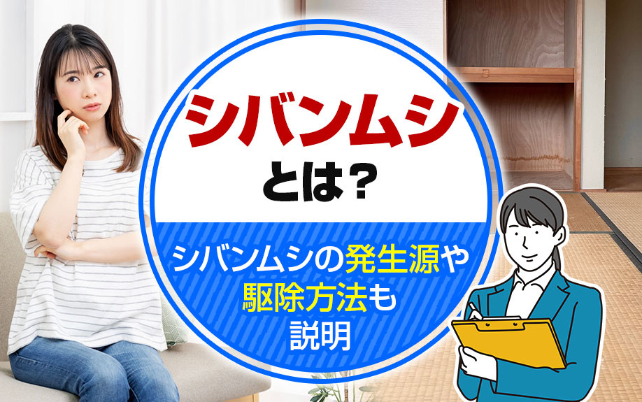 シバンムシとは?シバンムシの発生源や駆除方法も説明