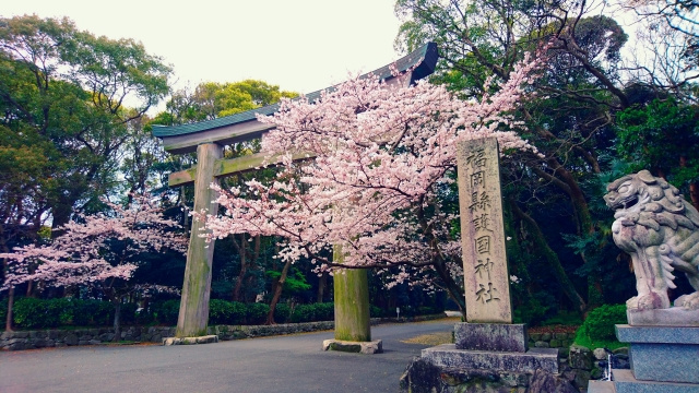 福岡市中央区にある「福岡縣護國神社」の楽しみ方
