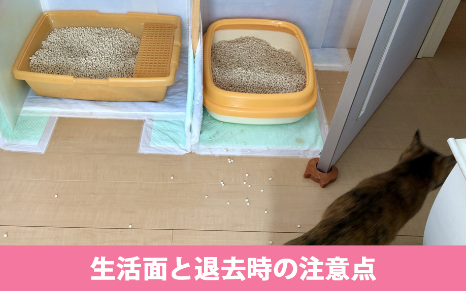 ペット飼育による生活面と退去時の注意点