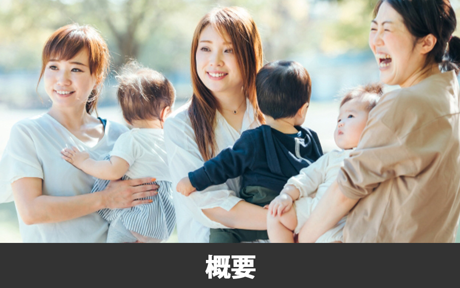 菊池郡菊陽町の概要