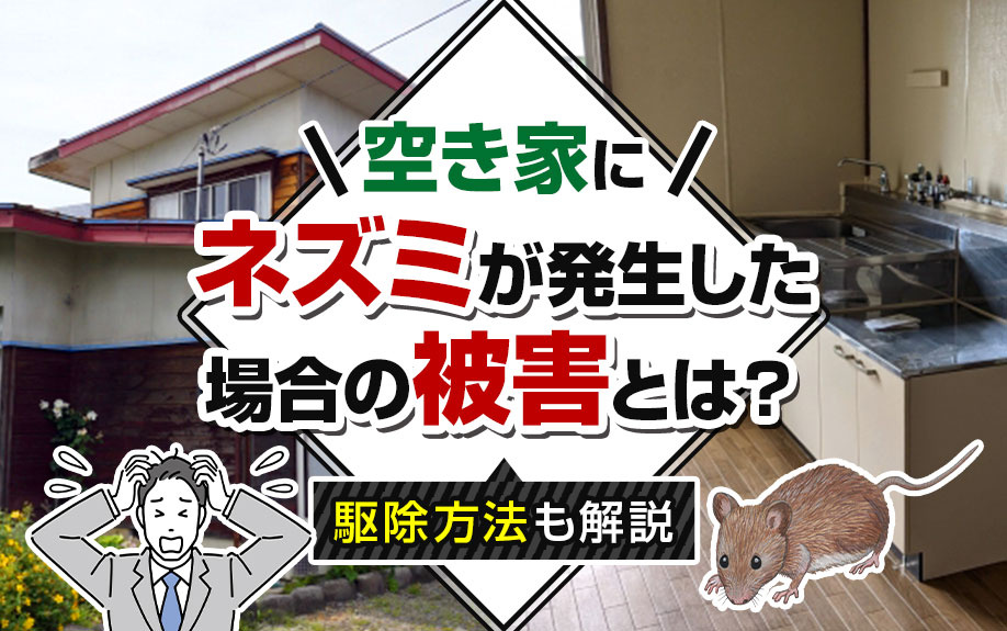 空き家にネズミが発生した場合の被害とは?駆除方法も解説