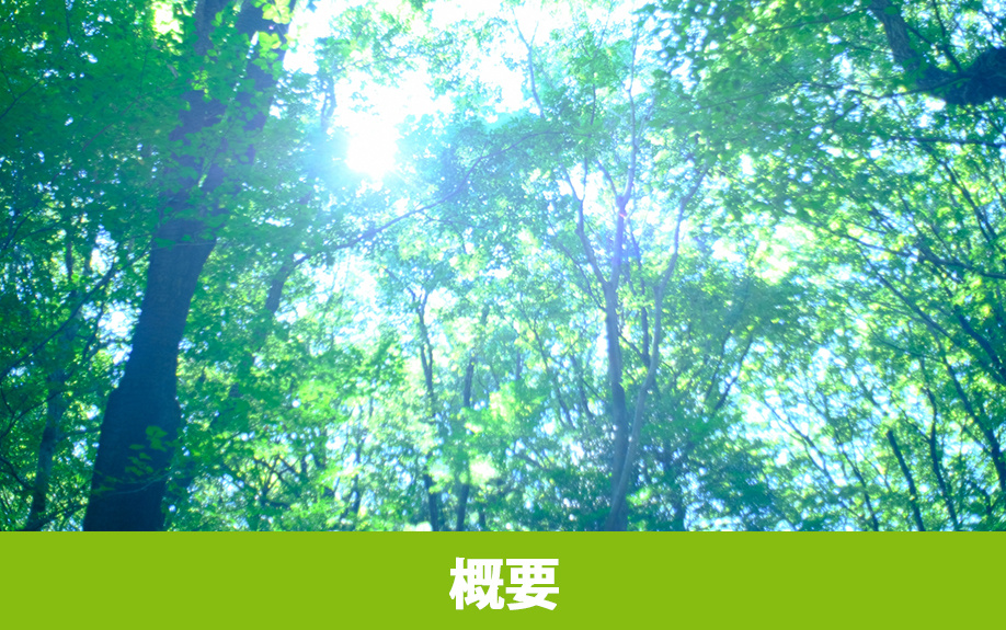 軽井沢町にあるKaruizawa Commongroundsの概要