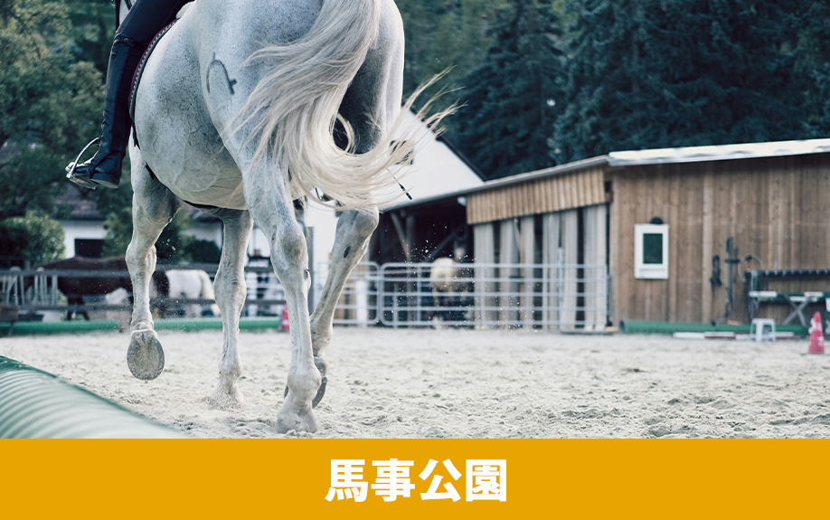諫早市にある諫早ゆうゆうランド干拓の里「馬事公園」とは