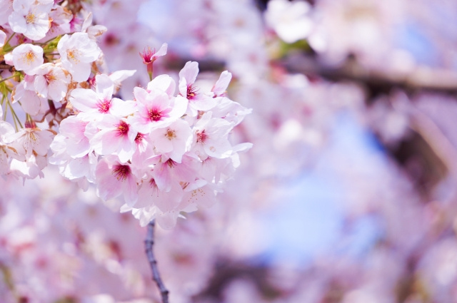 入学定員が50人増の200人に