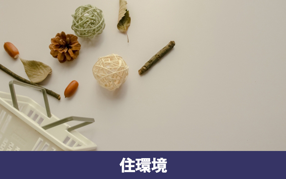 文京区の住みやすさや住環境