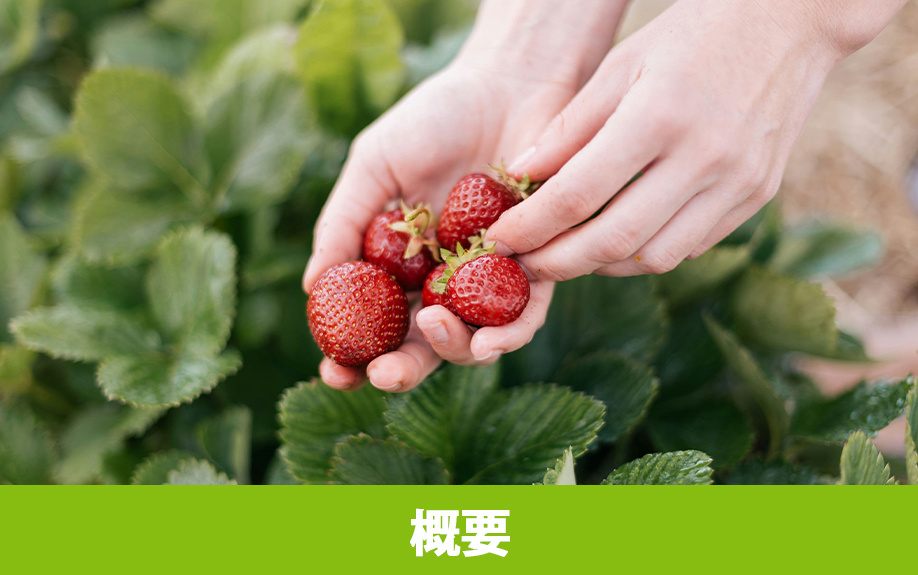 軽井沢ガーデンファームの概要