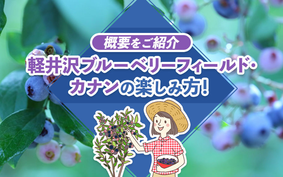 軽井沢「ブルーベリーフィールド・カナン」の楽しみ方!概要をご紹介