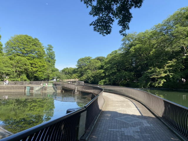 杉並区の住みやすさについて!区の概要や人気の理由も解説