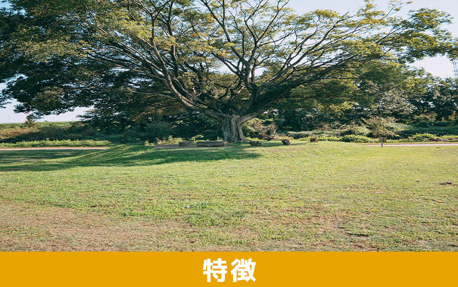 風水で好ましいとされる賃貸物件の特徴とは?