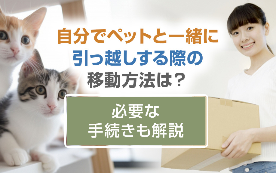 自分でペットと一緒に引っ越しする際の移動方法は?必要な手続きも解説