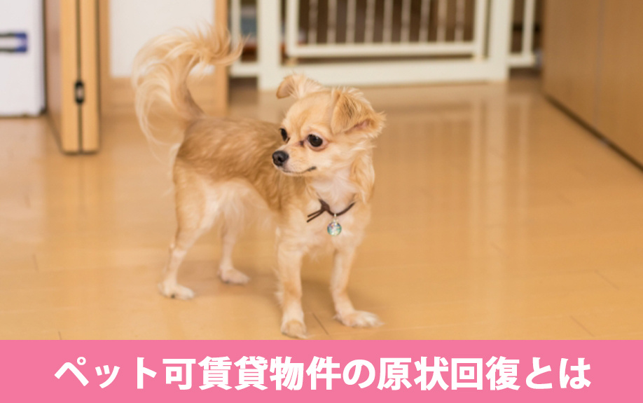 ペット可賃貸物件の原状回復とは