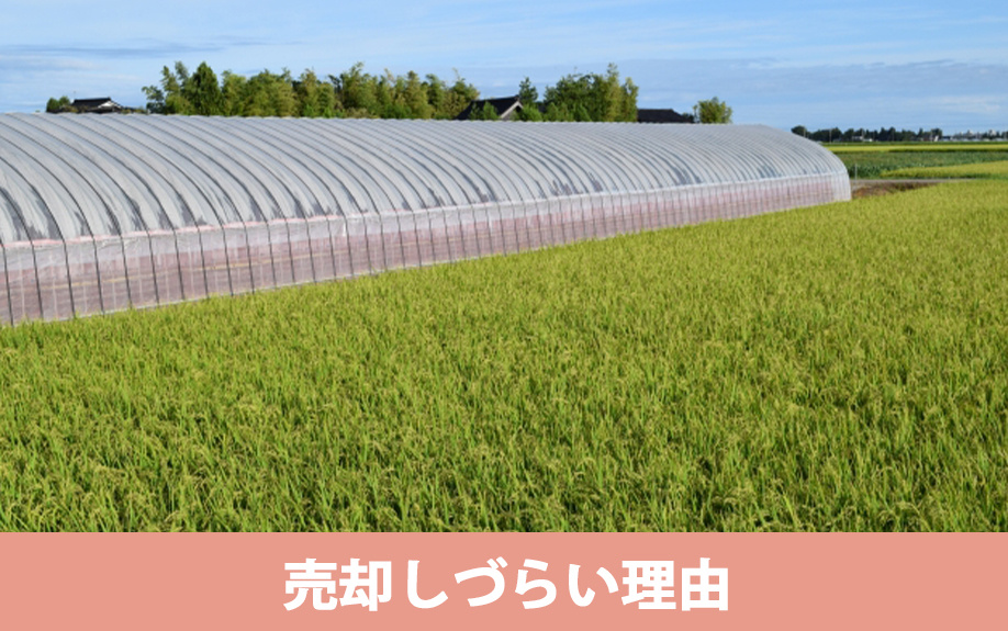 農地が売却しづらい理由