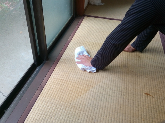 ウッドカーペットとは?畳が腐るのを防ぐためにできる対処法を解説