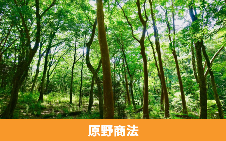 原野商法とはどのような手法か