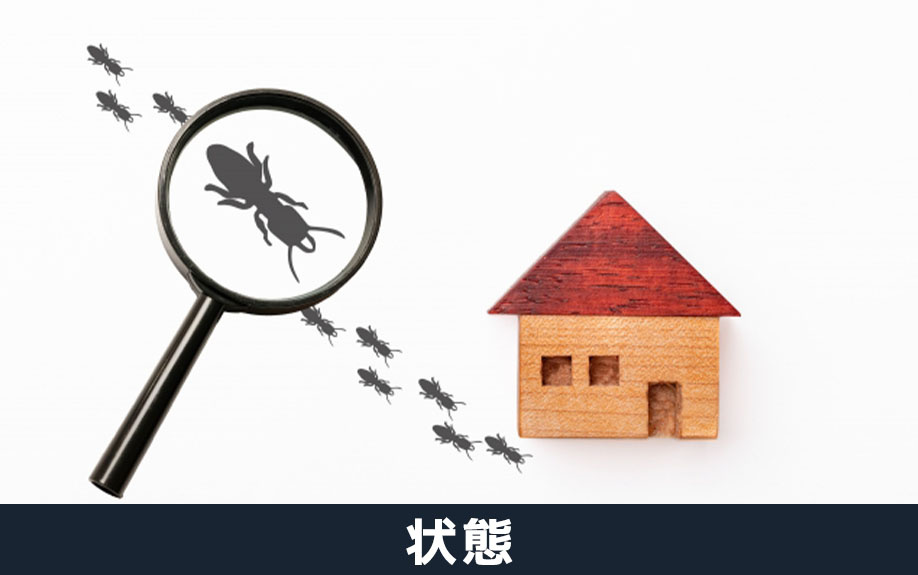 不動産を売るときの土地と建物の状態確認について