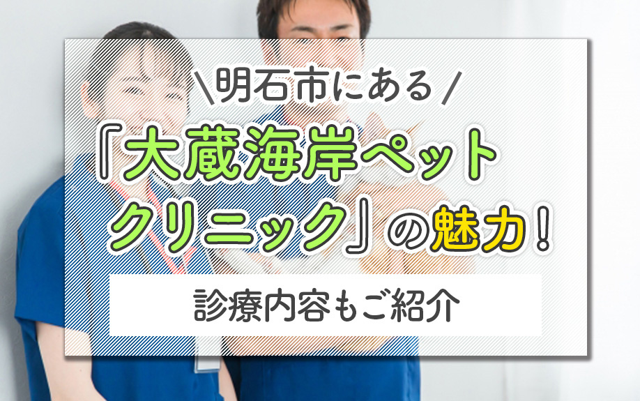 明石市にある「大蔵海岸ペットクリニック」の魅力!診療内容もご紹介