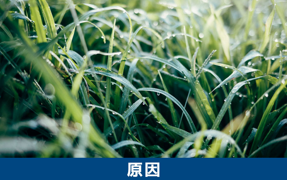 空き家問題の原因