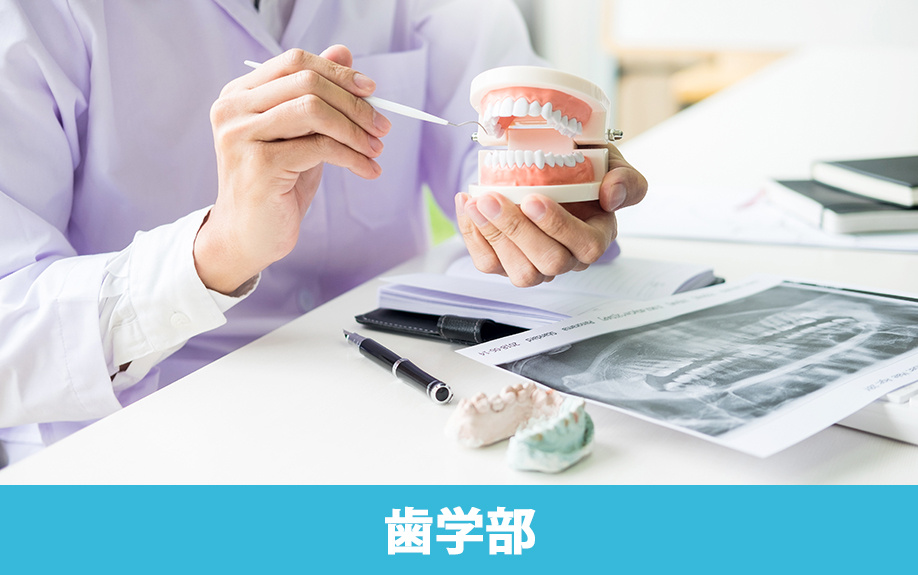 臨床実習可能な大田区の洗足キャンパス!昭和大学の歯学部を解説