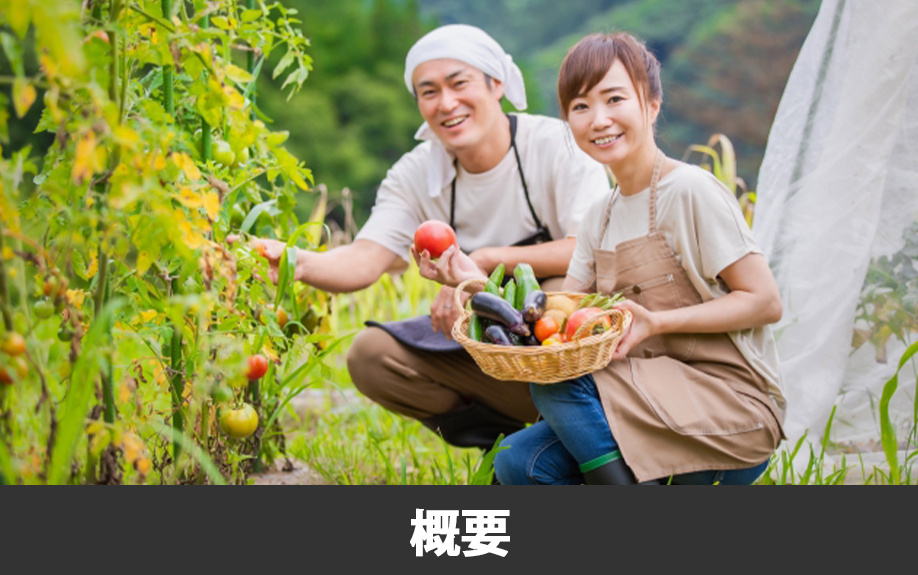 上益城郡益城町に移住するなら知っておきたい街の概要