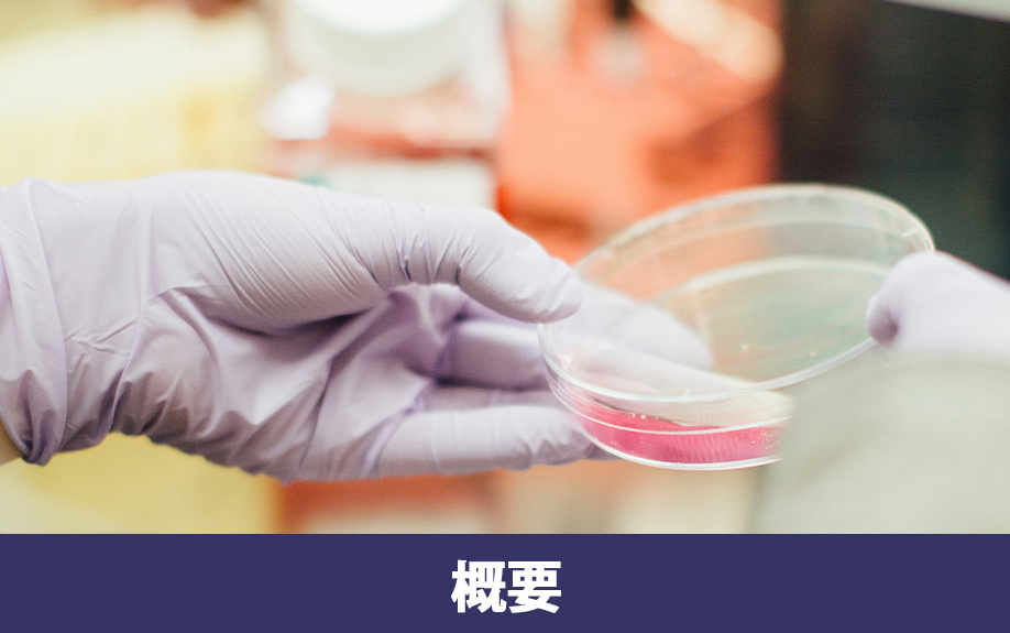 文京区にある東京科学大学の概要
