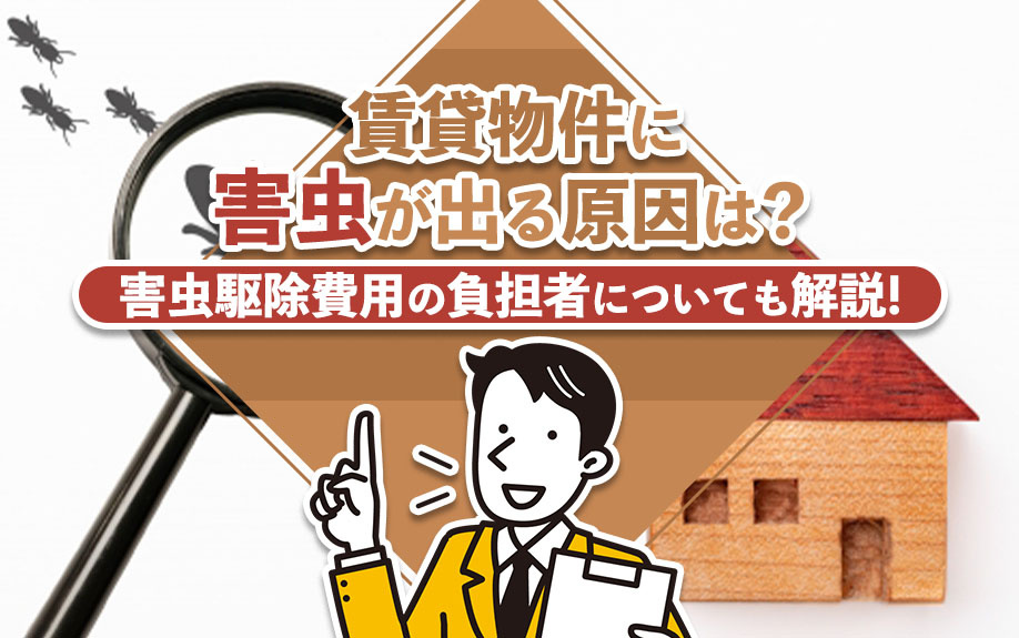 賃貸物件に害虫が出る原因は?害虫駆除費用の負担者についても解説!
