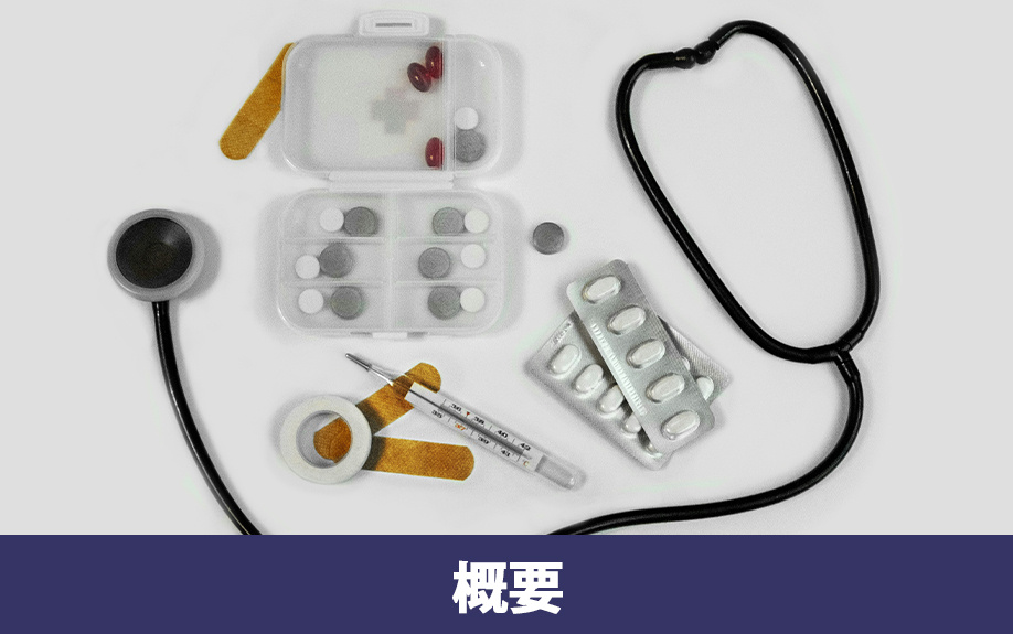 文京区にある日本薬科大学お茶の水キャンパスの概要