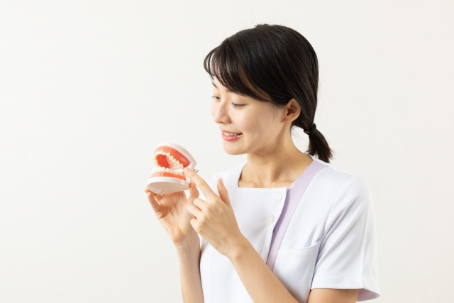 伏見区にある「いくま歯科医院」の概要!診療内容や通いやすさもご紹介