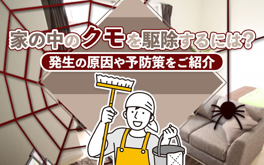 家の中のクモを駆除するには?発生の原因や予防策をご紹介