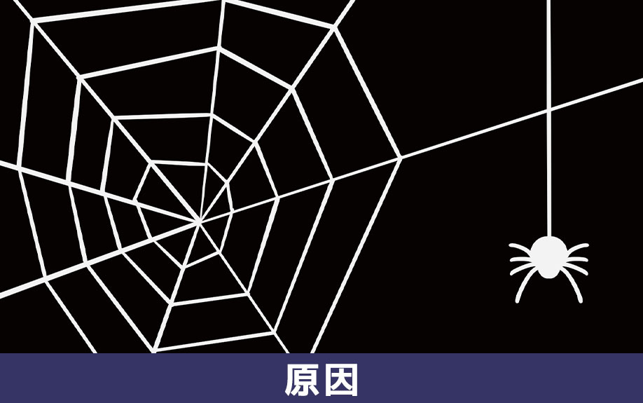 家の中にクモが発生する原因