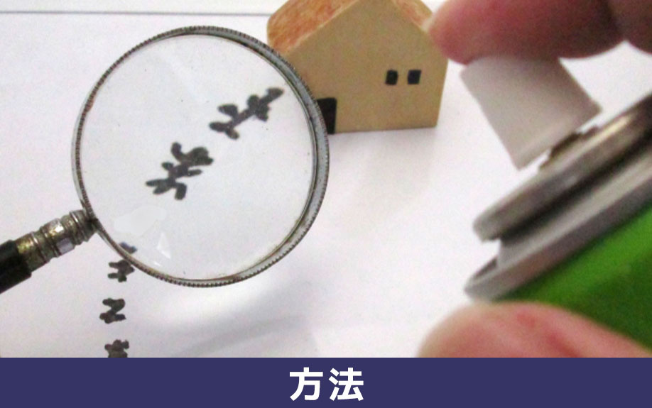 家の中に発生したクモを駆除する方法