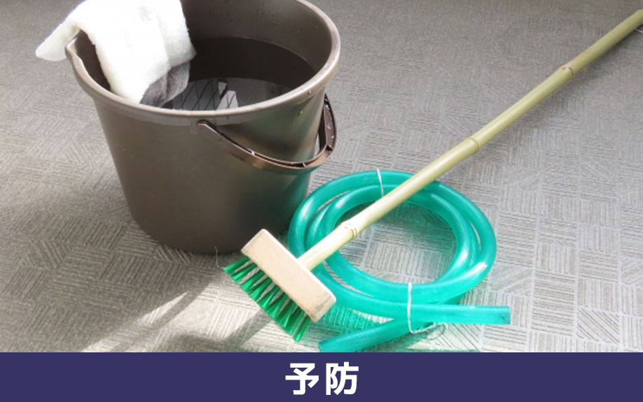 家の中にクモが発生するのを予防するには?