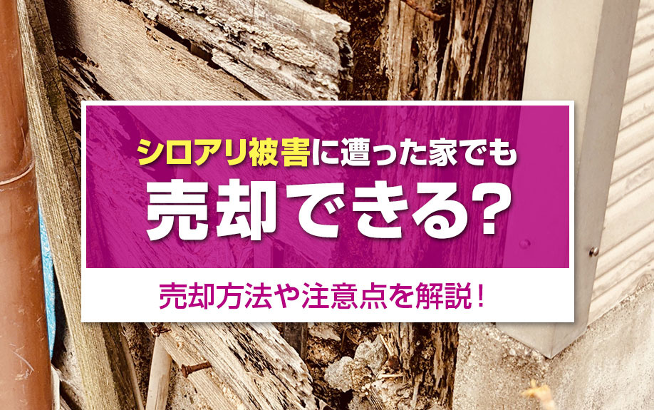 シロアリ被害に遭った家でも売却できる?売却方法や注意点を解説!