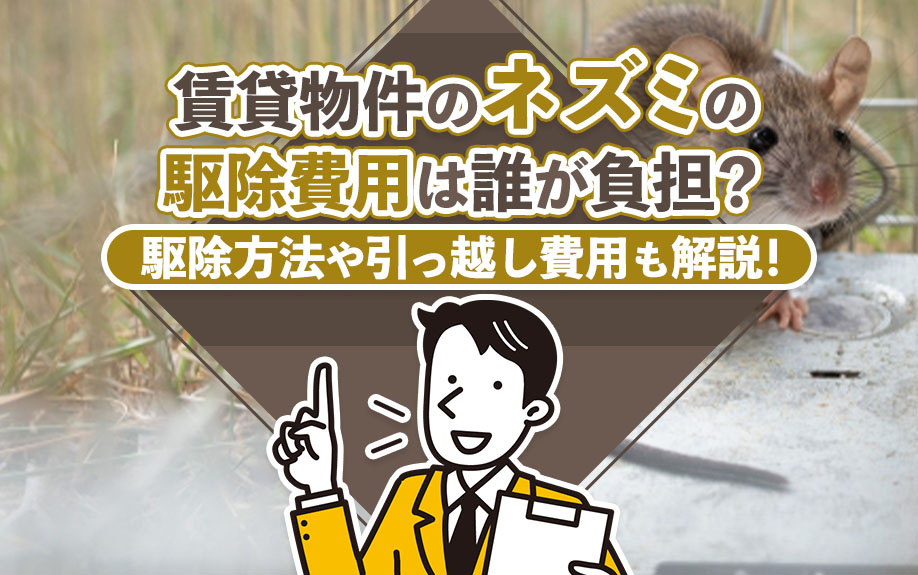 賃貸物件のネズミの駆除費用は誰の負担?駆除方法や引っ越し費用も解説!