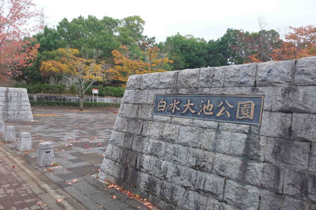 「白水大池公園」の概要